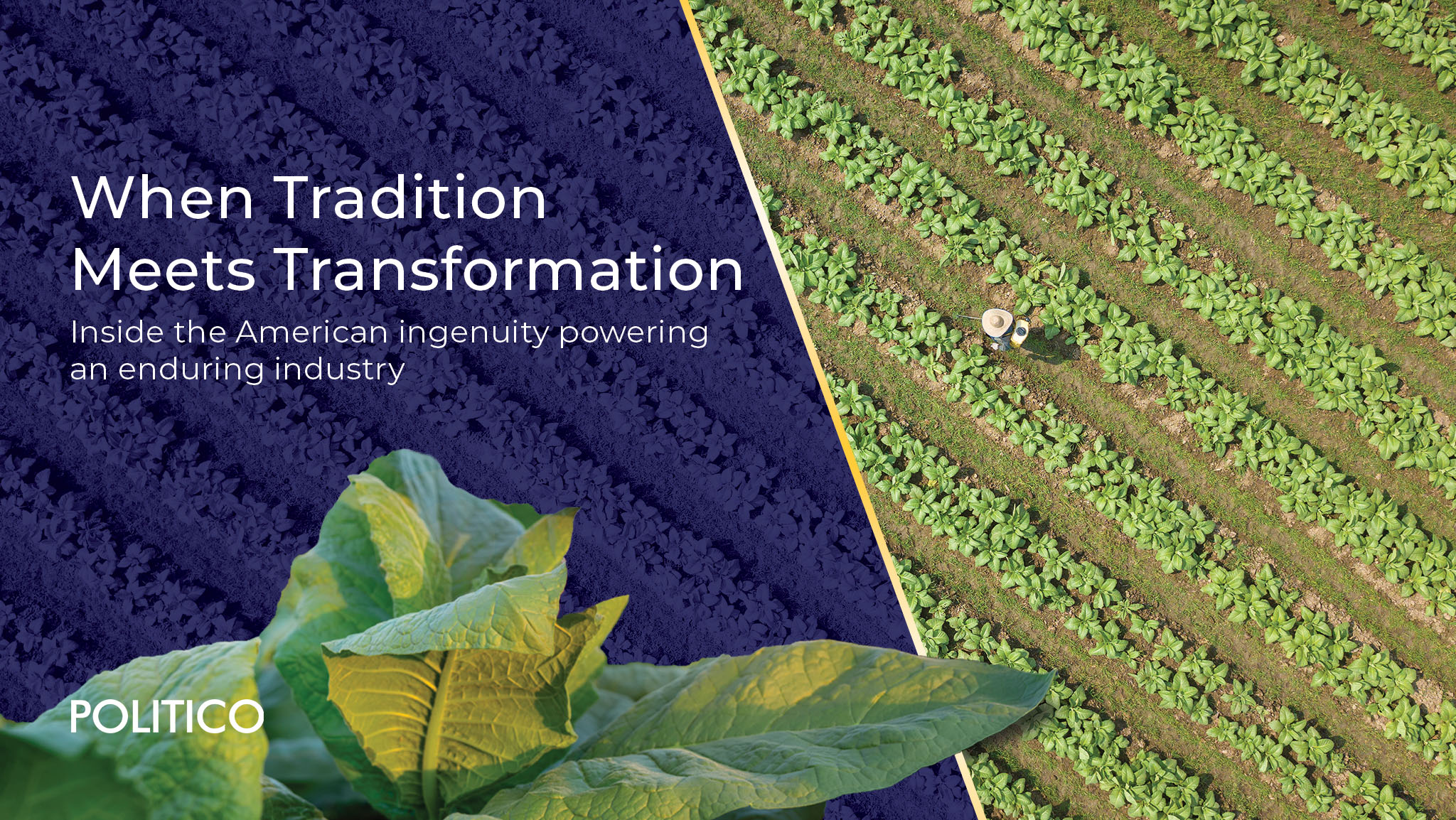 Reynolds American Featured in POLITICO Focus: When Tradition Meets Transformation